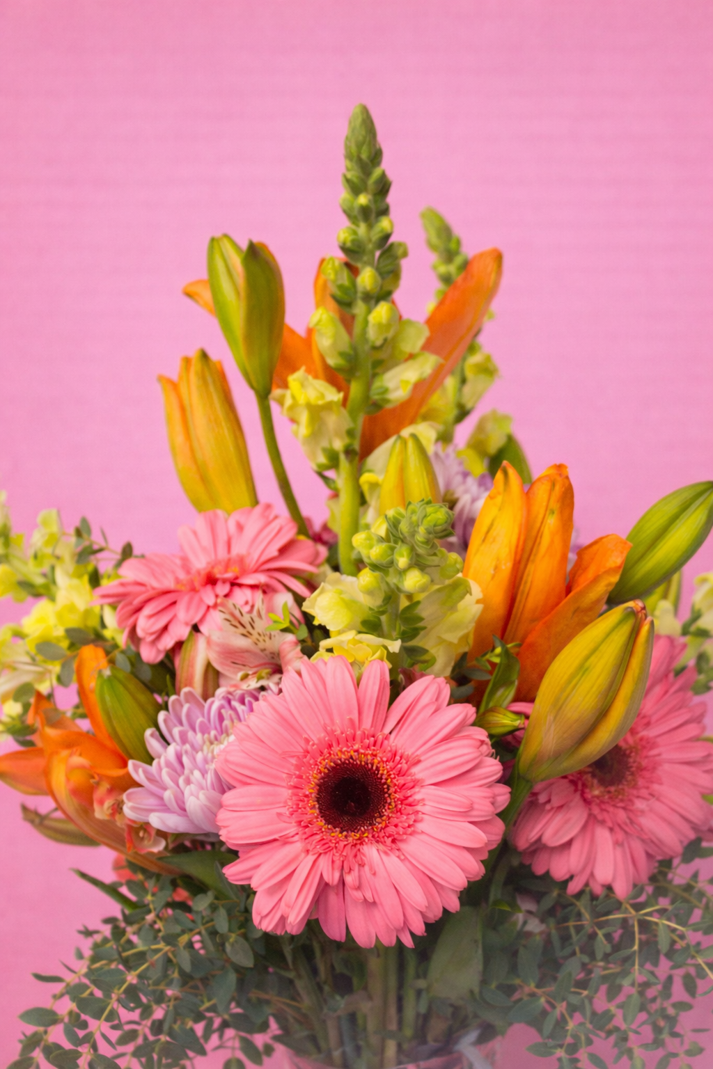 Dulce Primavera 