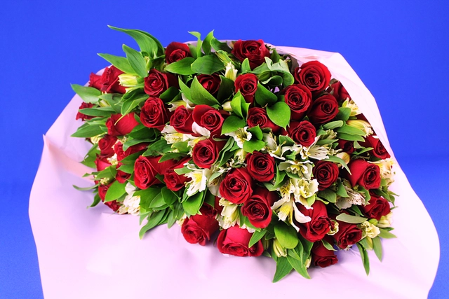 Bouquet 48 Rosas Rojas
