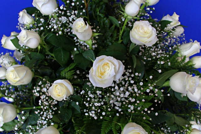 Lateral Rosa Blanca