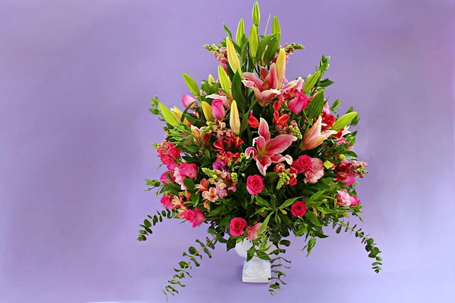 Copa Con Rosas, Stargazer Y Follajes