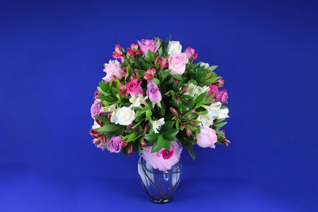 Jarron Jr. con 24 Rosas, Alstromerias y Follaje