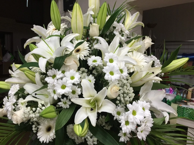 Lateral con Casablanca y Margaritas