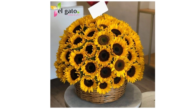 Canasta con 50 Girasoles