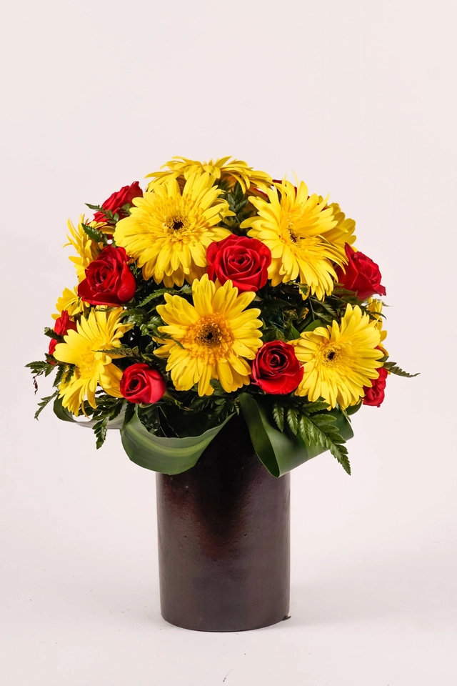12 Gerbera Amarilla y 12 Rosas Rojas en Base de Barro