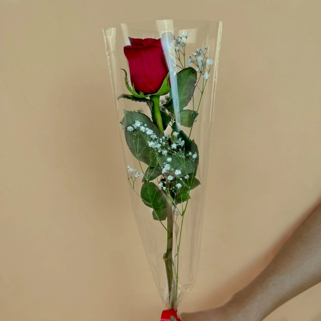 Rosa Invididual con Follaje