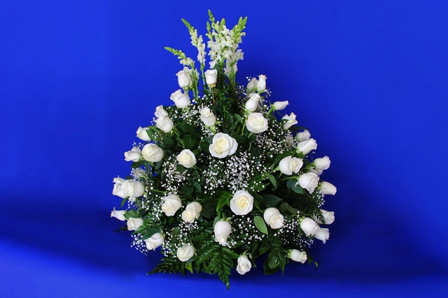 Lateral Rosa Blanca